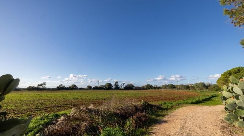 Illes Balears - Campos - 33800m2