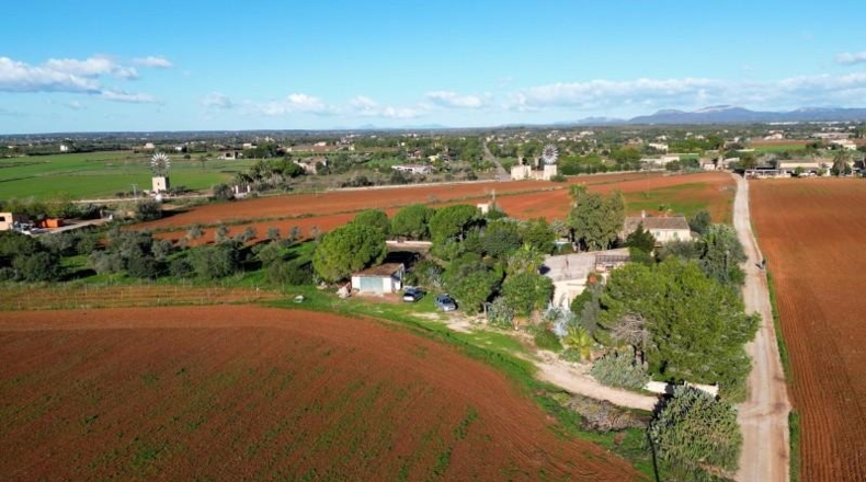 Illes Balears - Campos - 33800m2
