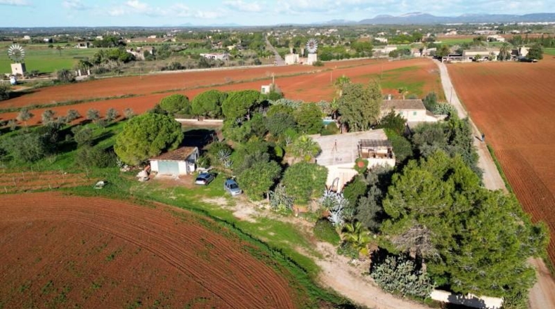 Illes Balears - Campos - 33800m2