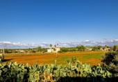 Chalet independiente con terreno en venta en la España, Campos, ref: TR367258 foto