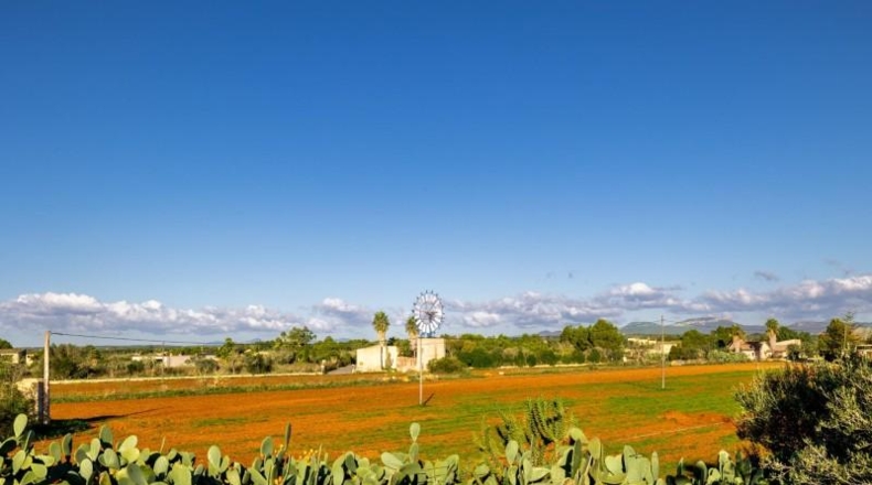Illes Balears - Campos - 33800m2