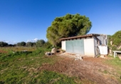 Chalet independiente con terreno en venta en la España, Campos, ref: TR367258 foto