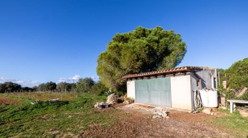 Illes Balears - Campos - 33800m2