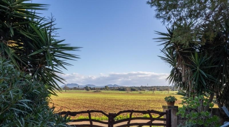 Illes Balears - Campos - 33800m2