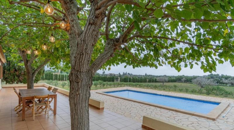 Islas Baleares - Manacor - 14287m2