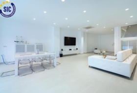 Castelló de la Plana 438&nbsp;m² 