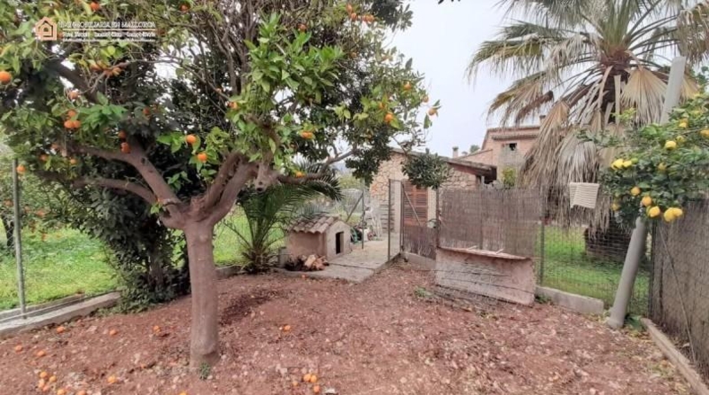 Balearic Islands - Sóller - 664m2
