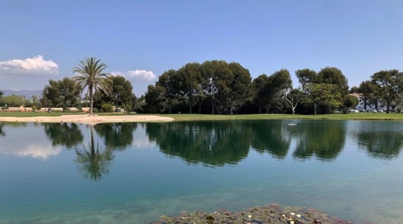 Valencia - Bétera - 900m2