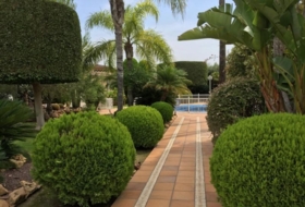 Foto 11