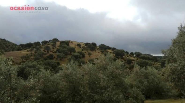 Córdoba - Villanueva de Córdoba - 571m2