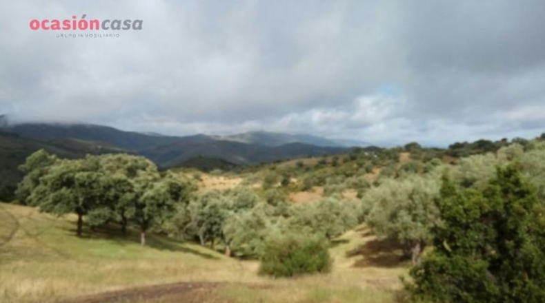 Córdoba - Villanueva de Córdoba - 571m2