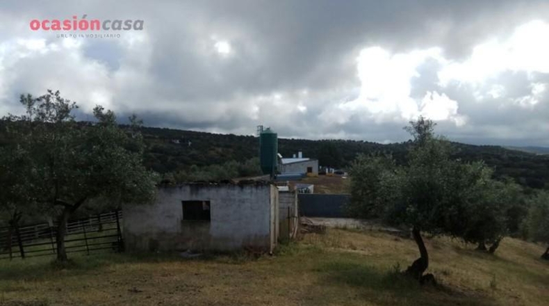 Córdoba - Villanueva de Córdoba - 571m2