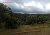 Chalet independiente con terreno en venta en la España, Villanueva de Córdoba, ref: TR134987 foto