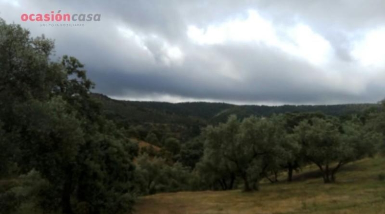 Córdoba - Villanueva de Córdoba - 571m2