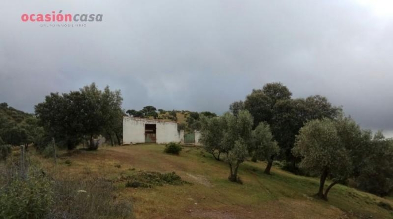 Córdoba - Villanueva de Córdoba - 571m2