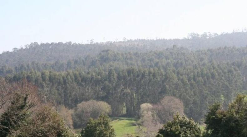 Cantabria - Cóbreces - 2500m2