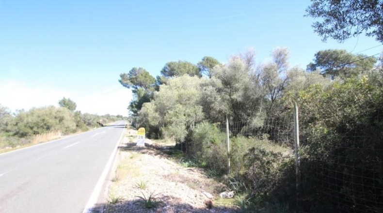 Balearic Islands - Cala Pi - 100158m2