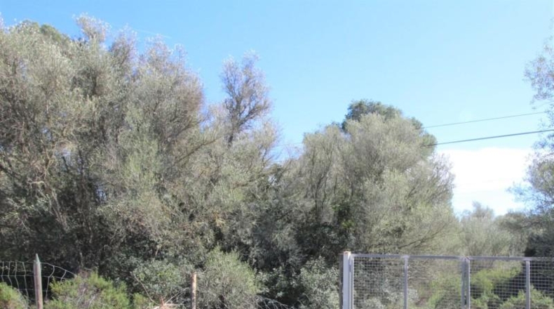 Balearic Islands - Cala Pi - 100158m2