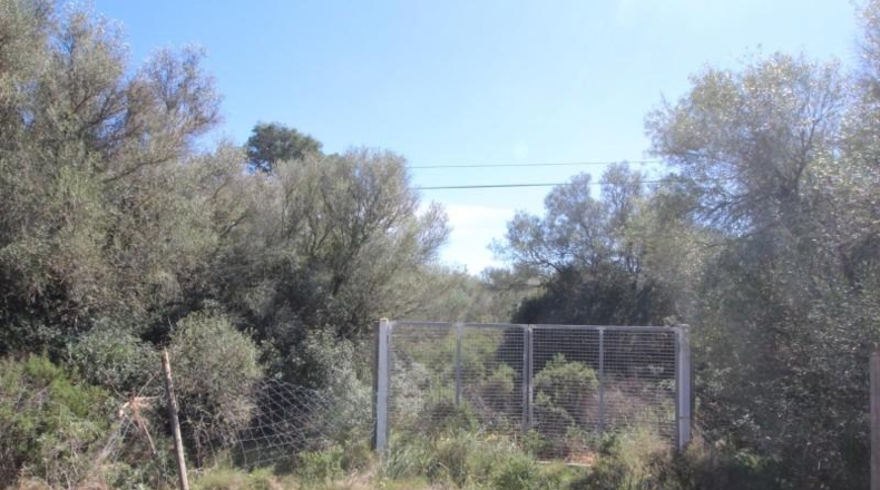 Balearic Islands - Cala Pi - 100158m2