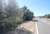 Terreno no urbanizable en venta en la España, Llucmajor, ref: TR122754 foto