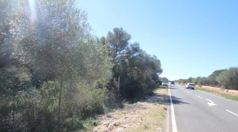 Balearic Islands - Cala Pi - 100158m2