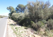 Terreno no urbanizable en venta en la España, Llucmajor, ref: TR122754 foto