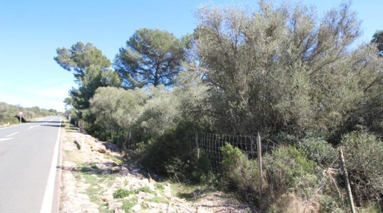 Balearic Islands - Cala Pi - 100158m2