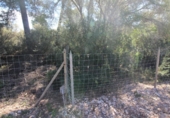 Terreno no urbanizable en venta en la España, Llucmajor, ref: TR122754 foto