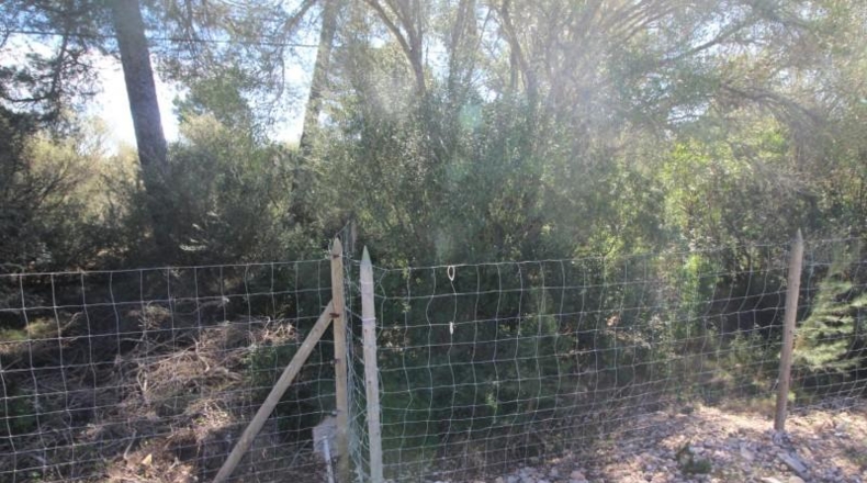 Balearic Islands - Cala Pi - 100158m2