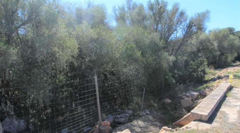 Balearic Islands - Cala Pi - 100158m2