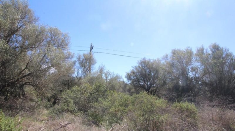 Balearic Islands - Cala Pi - 100158m2