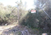 Terreno no urbanizable en venta en la España, Llucmajor, ref: TR122754 foto