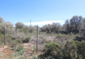 Terreno no urbanizable en venta en la España, Llucmajor, ref: TR122754 foto