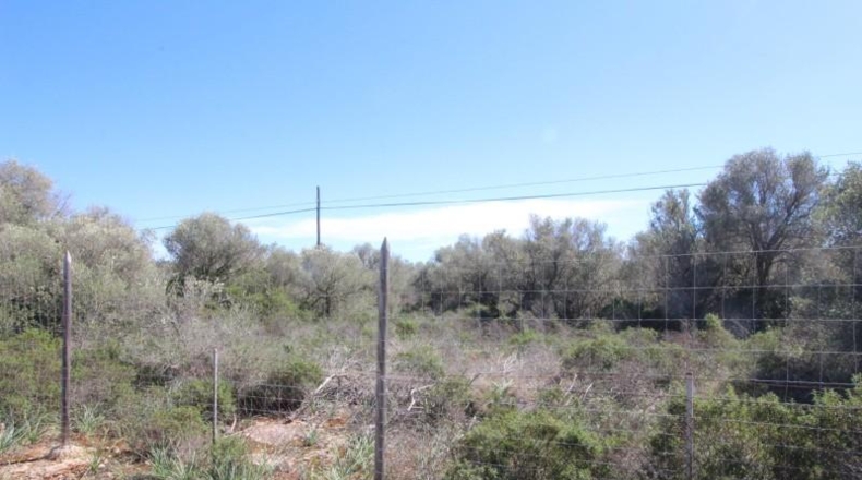 Balearic Islands - Cala Pi - 100158m2