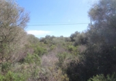 Terreno no urbanizable en venta en la España, Llucmajor, ref: TR122754 foto