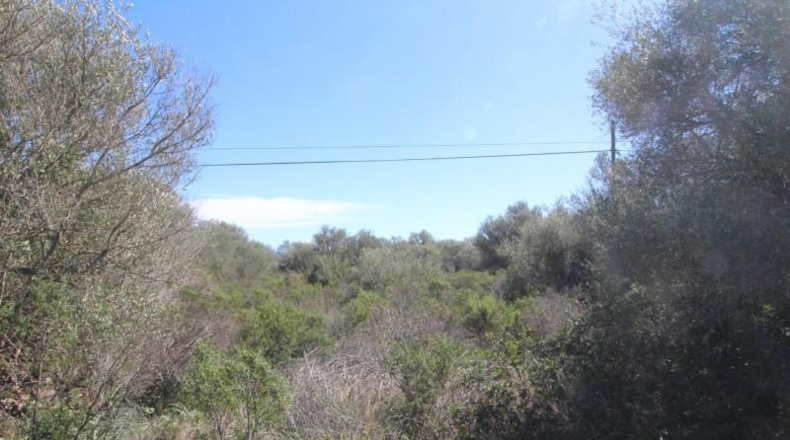 Balearic Islands - Cala Pi - 100158m2