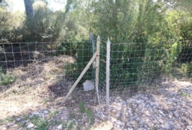 Foto 13