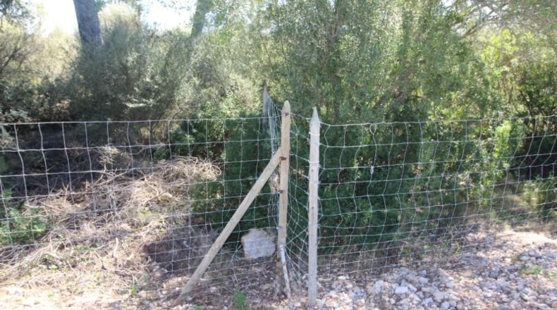 Balearic Islands - Cala Pi - 100158m2