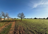 Terreno no urbanizable en venta en la España, Felanitx, ref: TR382619 foto