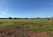 Terreno no urbanizable en venta en la España, Felanitx, ref: TR382619 foto