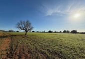 Terreno no urbanizable en venta en la España, Felanitx, ref: TR382619 foto