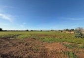 Terreno no urbanizable en venta en la España, Felanitx, ref: TR382619 foto