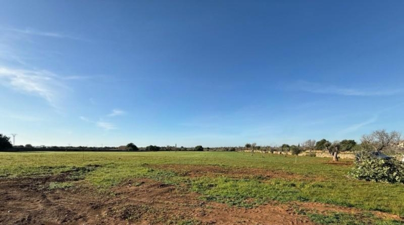 Балеарские острова - Felanitx - 19300m2