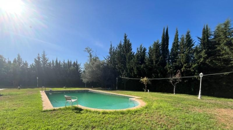 Cádiz - Jerez de la Frontera - 2600m2