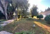 Xalet independent amb terreny en venda a la España, Jerez de la Frontera, ref.: TR314867 foto
