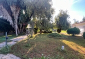 Xalet independent amb terreny en venda a la España, Jerez de la Frontera, ref.: TR314867 foto