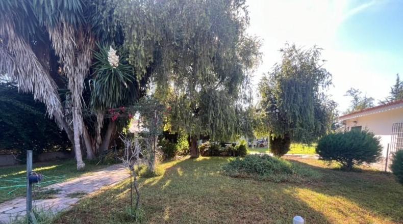 Cádiz - Jerez de la Frontera - 2600m2