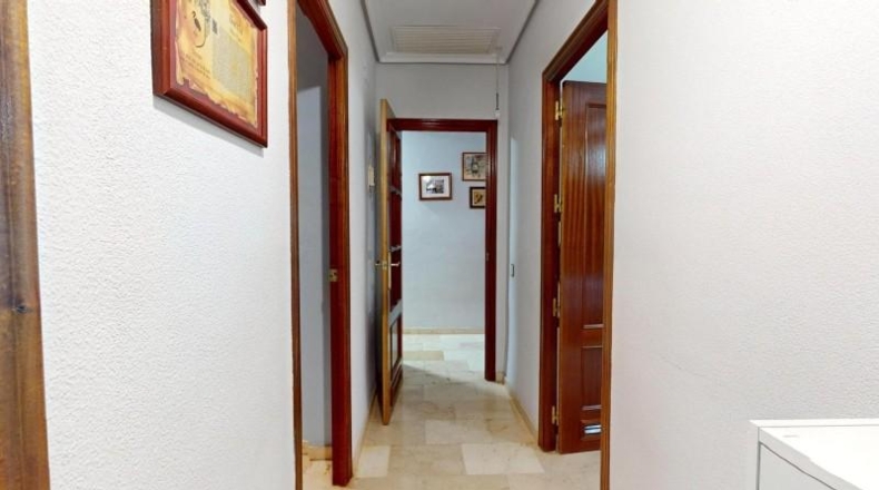 Córdoba - Córdoba - 3000m2