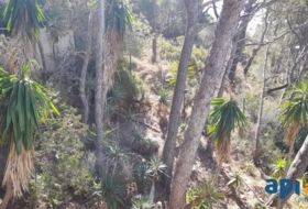 Foto 8