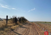 Non-developable land for sale on España, Encinarejo de Córdoba, ref: TR146315 photo